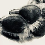 Jo Fi's photo