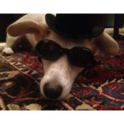 David Selevan's photo