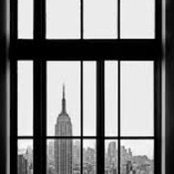 andre andersons foto