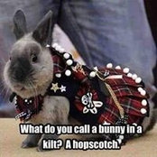 Candy Toomey's photo