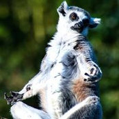 Laura Hocking's photo