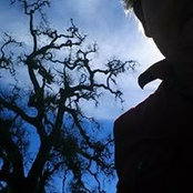 Tom Beavers's photo