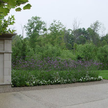 Landscaping ideas