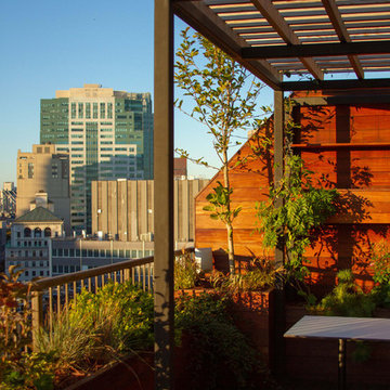 Tropical Rooftop Garden