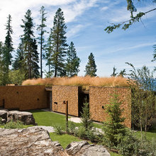 wall
