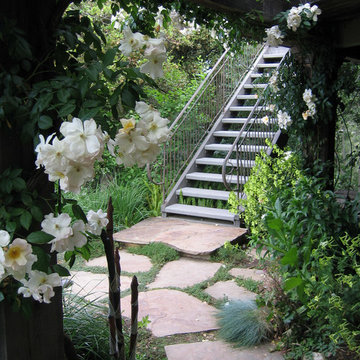 A Piedmont garden