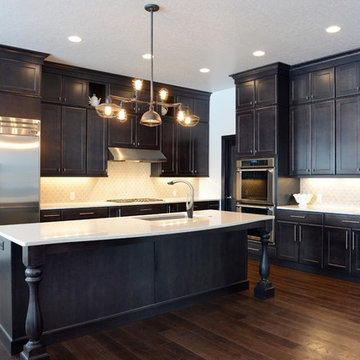 Modern Transitional Style Kitchen