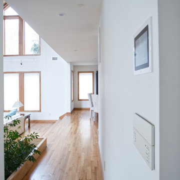 Home Automation/Smart Home