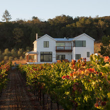 A Farmhouse Rises Among the Grapes