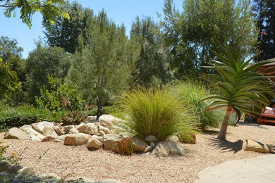 Design ideas for a contemporary drought-tolerant and full sun backyard garden path in Santa Barbara.