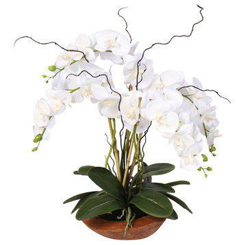 Phalaenopsis Silk Orchid With Curly Willow and Succulents