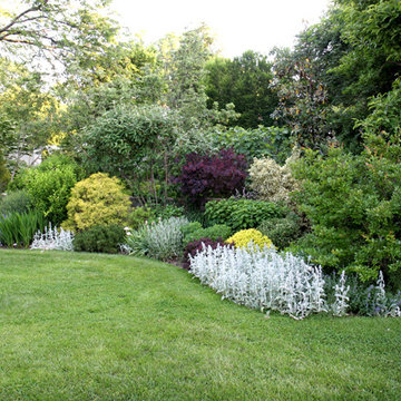 Layered Perennial Bed