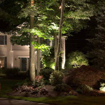 Beauty in the Landscape Lighting