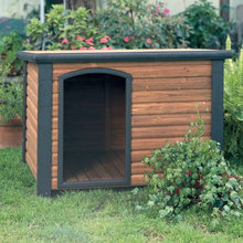 Dog houses