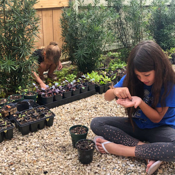 Vibrant Colorful Vegetable Beds & Mini-Food Forests