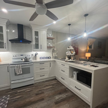 Whole Kitchen Remodel
