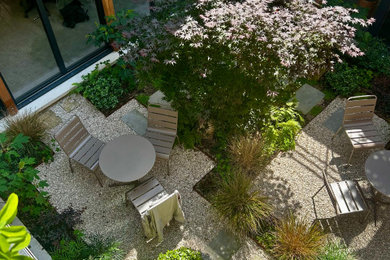Exemple d'une petite terrasse tendance avec une cour et du gravier.