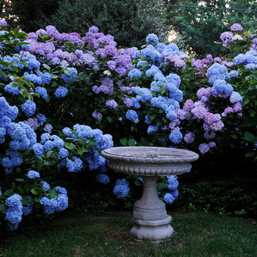 Secret Garden