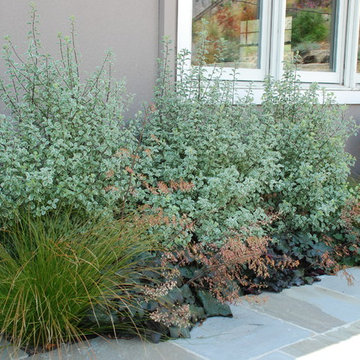 Green Roof Garage for Growing Family