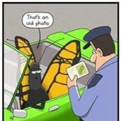 Iverson Schraiber's photo