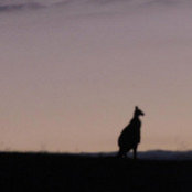 Haley Head's photo