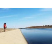 Cathy Tang's photo