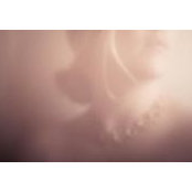 Julie Harrold's photo