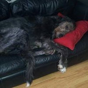 Elaine Boyde's photo