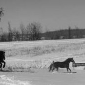 Sherry Ashby's photo