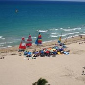 Janis Maffetone's photo