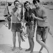 Luis Saez's photo