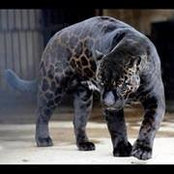 Heather Cornick's photo