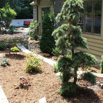 Hillside Gardening