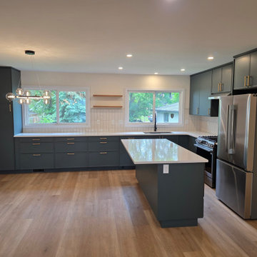 Full House Renovation