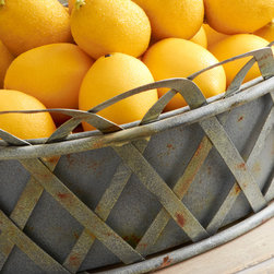 Citrus Fresh - Decorative Accents