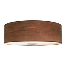 Light Fixtures