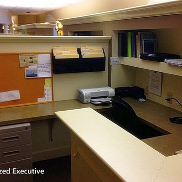 Organized Executive!