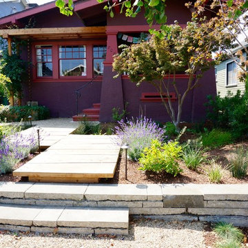 Native & Drought Tolerant Garden