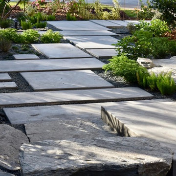 Modern Front Yard Water Garden