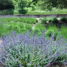 Landscaping Reeves Road