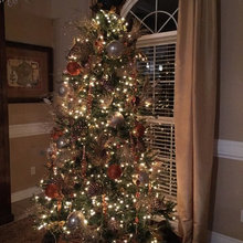 Christmas trees