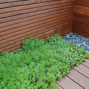 Logan Square Green Deck