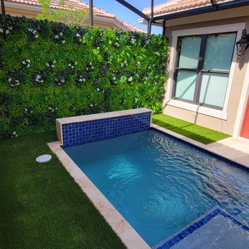 Plunge Pool Artificial Turf