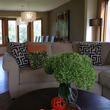 Mendota Heights Modern