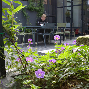 Modern family garden with clean lines