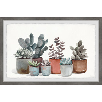 "Succulent Plants Display" Framed Painting Print