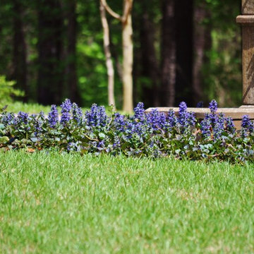A Spring Dalzell Design Landscape!