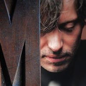 Massimo Pigliapoco's photo