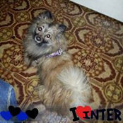 Raffaela Daniele's photo