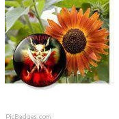 Kathy Centola's photo